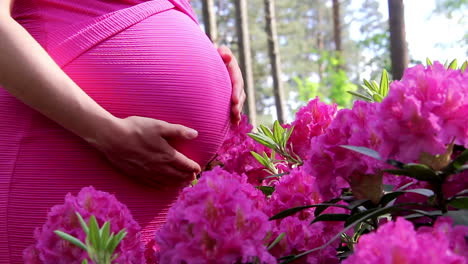 pregnant woman in dress holds hands on belly on natural background of rhododendron at summer day