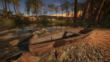 a wooden boat abandoned on the shore of an oasis