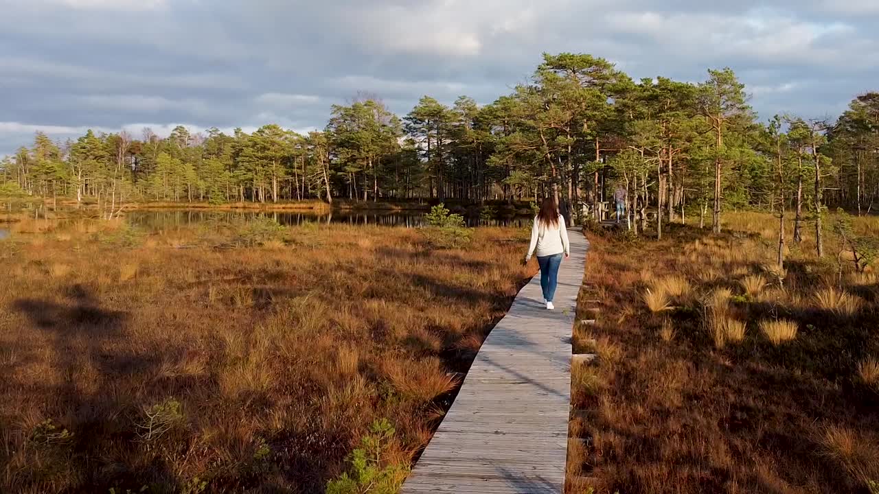 Ripresa aerea con drone di una donna sola che cammina lungo un sentiero di legno in una torbiera in autunno