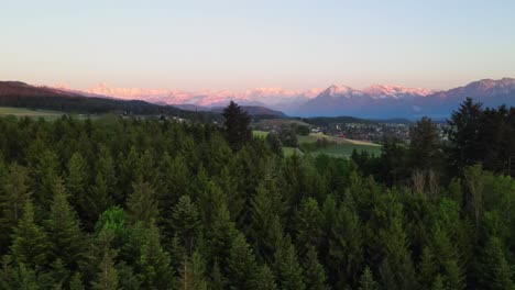 Luftaufnahme-Von-Wald-Und-Schweizer-Bergen-In-Der-Abenddämmerung