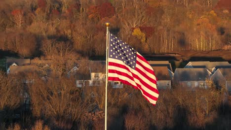 american flag waving over neighborhood nestled between bare trees in winter