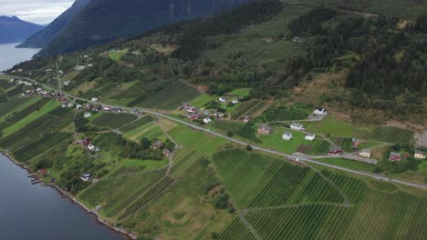 Simple-humble-Sorfjorden-farmlands-Kinsarvik-to-Lofthus-area