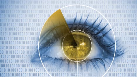 Runder-Scanner-über-Nahaufnahme-Eines-Weiblichen-Blauen-Auges-Vor-Binärer-Kodierungsdatenverarbeitung