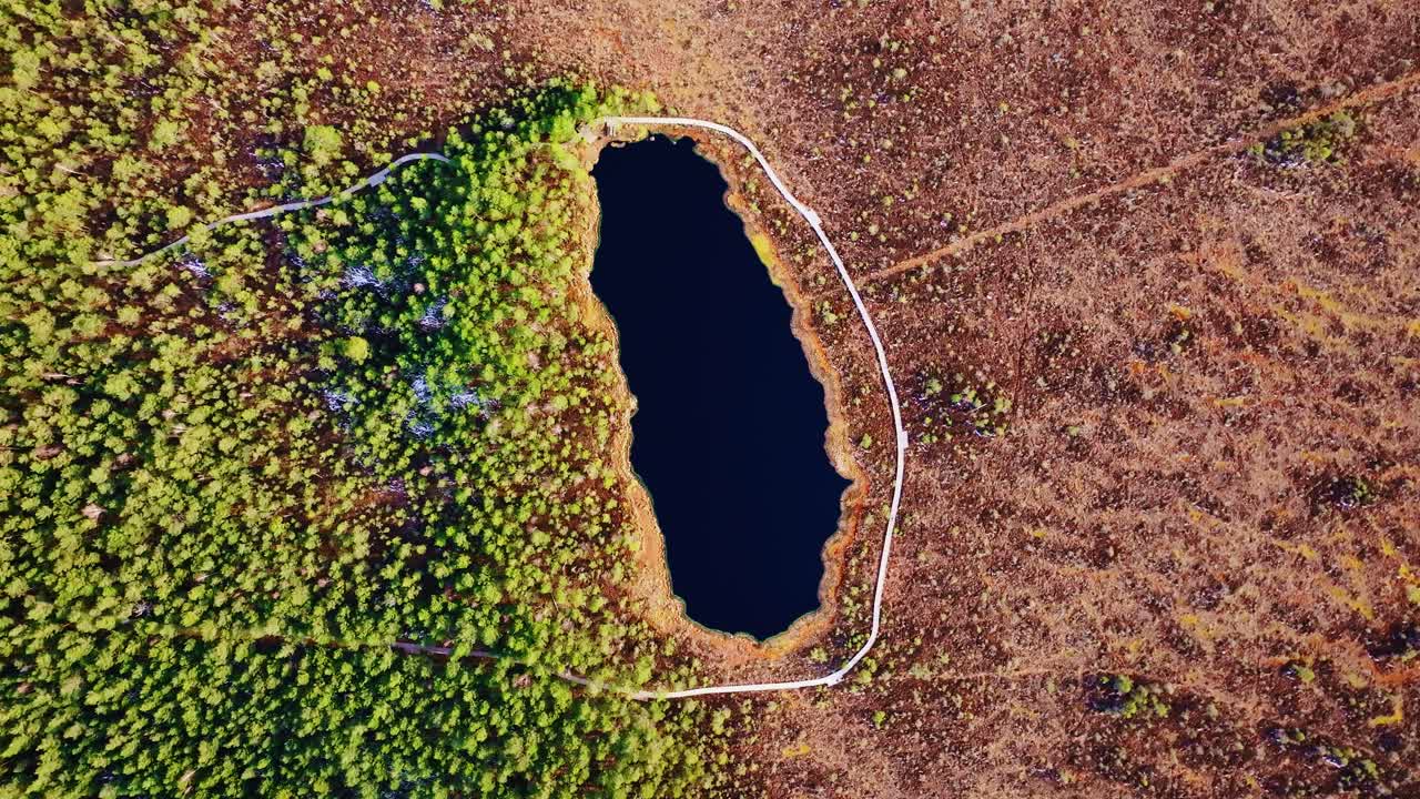Drone reveals striking lake loop trail carving through textured Latvian bog