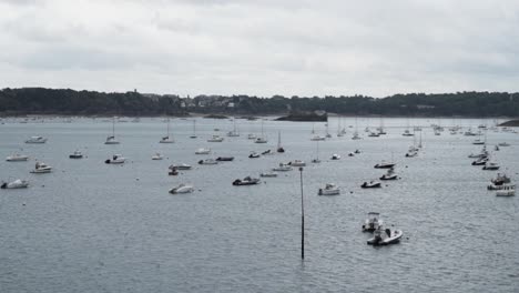 boats in a harbor