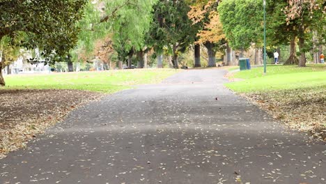 pathway view in melbourne's carlton gardens