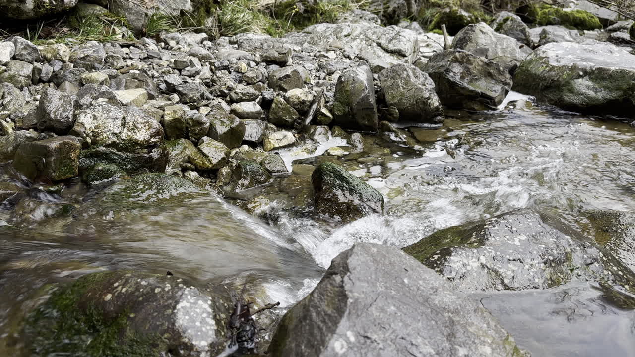 Close-up of a stream flowing into the stones