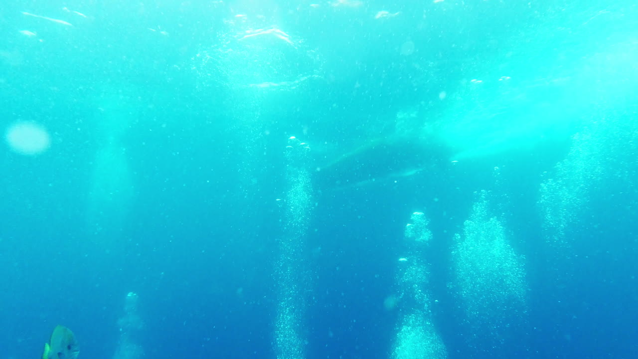 재미있는 모든 것은 표면 아래에서 일어납니다.