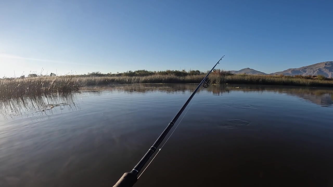 Sunny blue sky day for fisherman angling on small lake, float tube POV