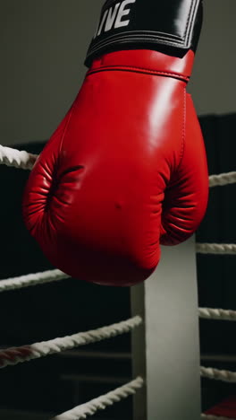 close-up of boxing gloves near boxing ring ropes