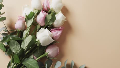 Video-of-bunch-of-white-and-pink-roses-and-copy-space-on-yellow-background