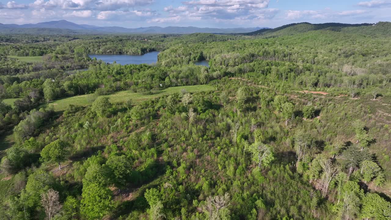 Aerial flyover path and forest trees in hill near Mill Creek Lake in America. Sunny day with clouds in spring. Nature of United States with mountain chain in background.