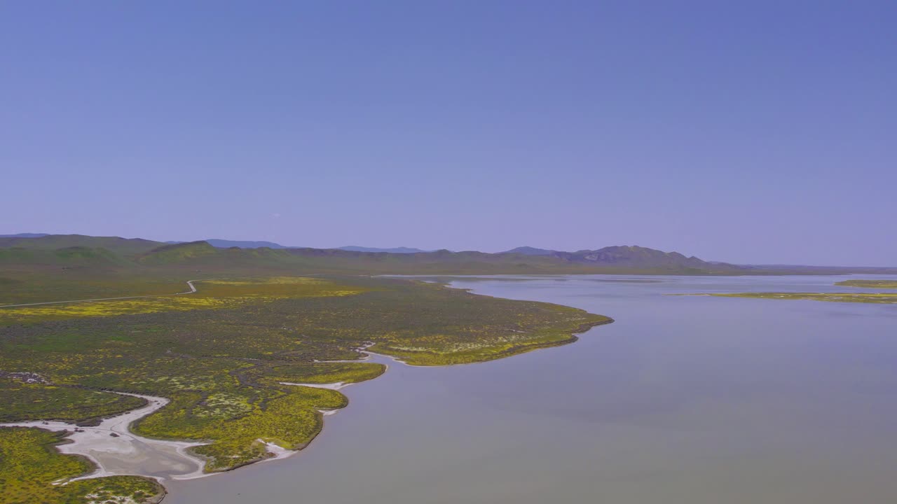 vista aérea del lago soda en la llanura de carrizo durante el superbloom en california
