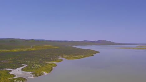 vista aérea del lago soda en la llanura de carrizo durante el superbloom en california