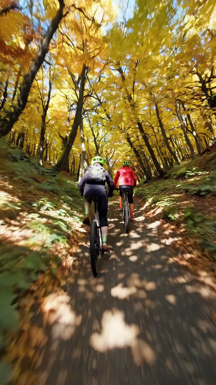 Dynamic video captures two cyclists from behind, riding through a sunlit forest path with vibrant