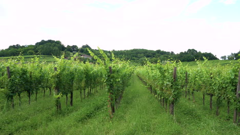 Wineries Tuscany