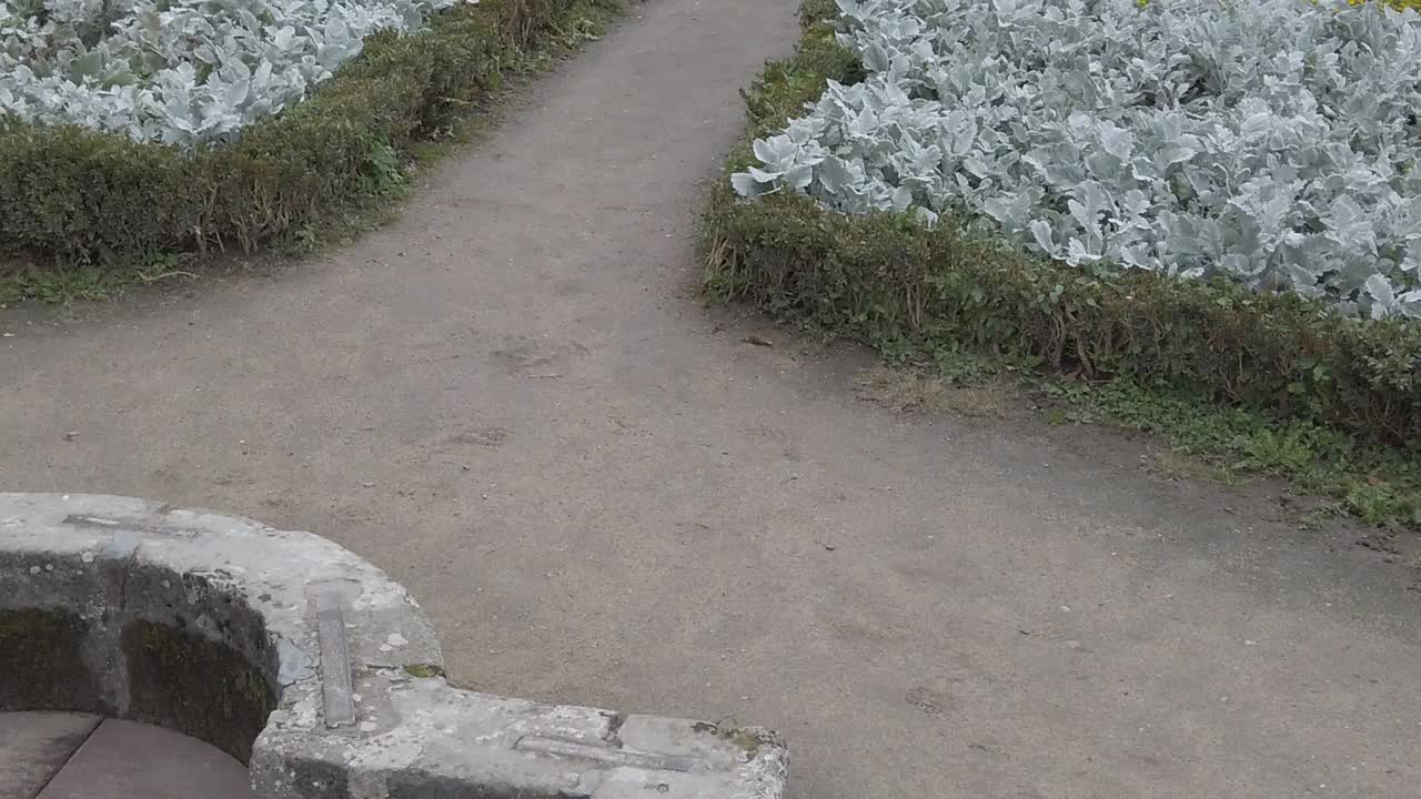 독일의 우르츠부르크 마리엔베르크 요새 (wurzburg marienberg fortress) 는 라인 강을 따라 있는 국가 소유의 궁전과 정원이다.