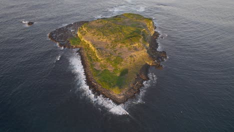 Isla-Cook-Cerca-De-Fingal-Head-En-Nueva-Gales-Del-Sur,-Australia---Toma-Aérea