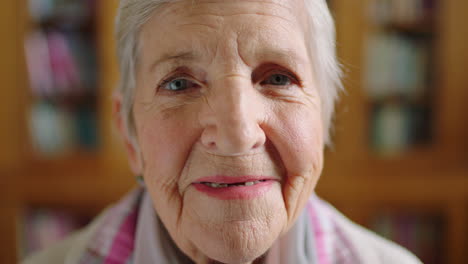 portrait of happy senior woman with happy