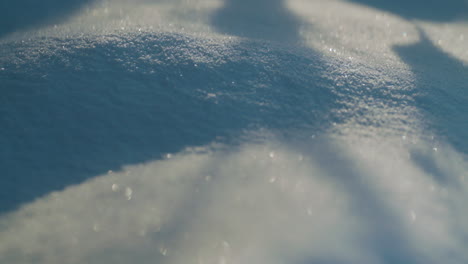 fresh snow, close up, sun light, slider shot from right to left