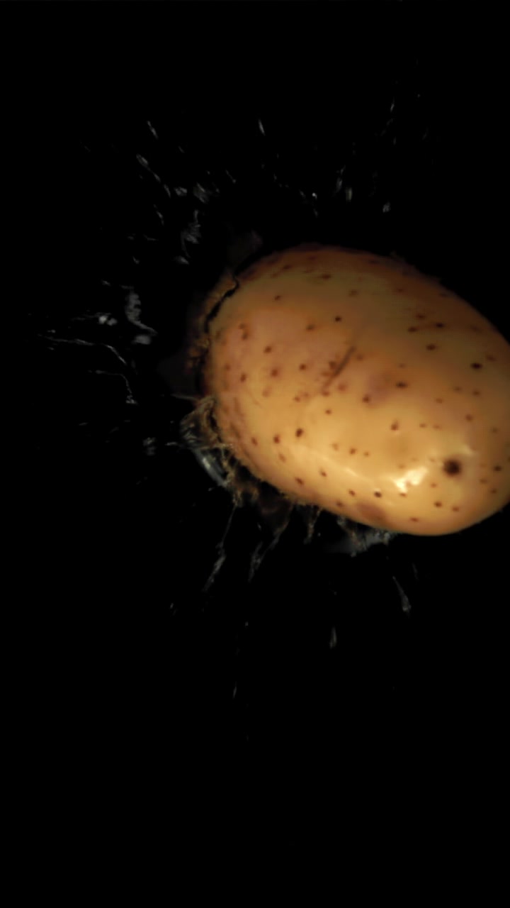 Patate fresche che schizzano nell'acqua al rallentatore