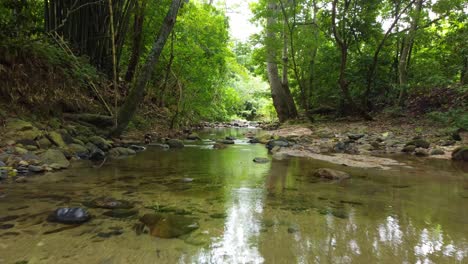 Einen-Malerischen-Bach-Hinauffliegen,-Der-Friedlich-Durch-Einen-Grünen-Wald-Schlängelt