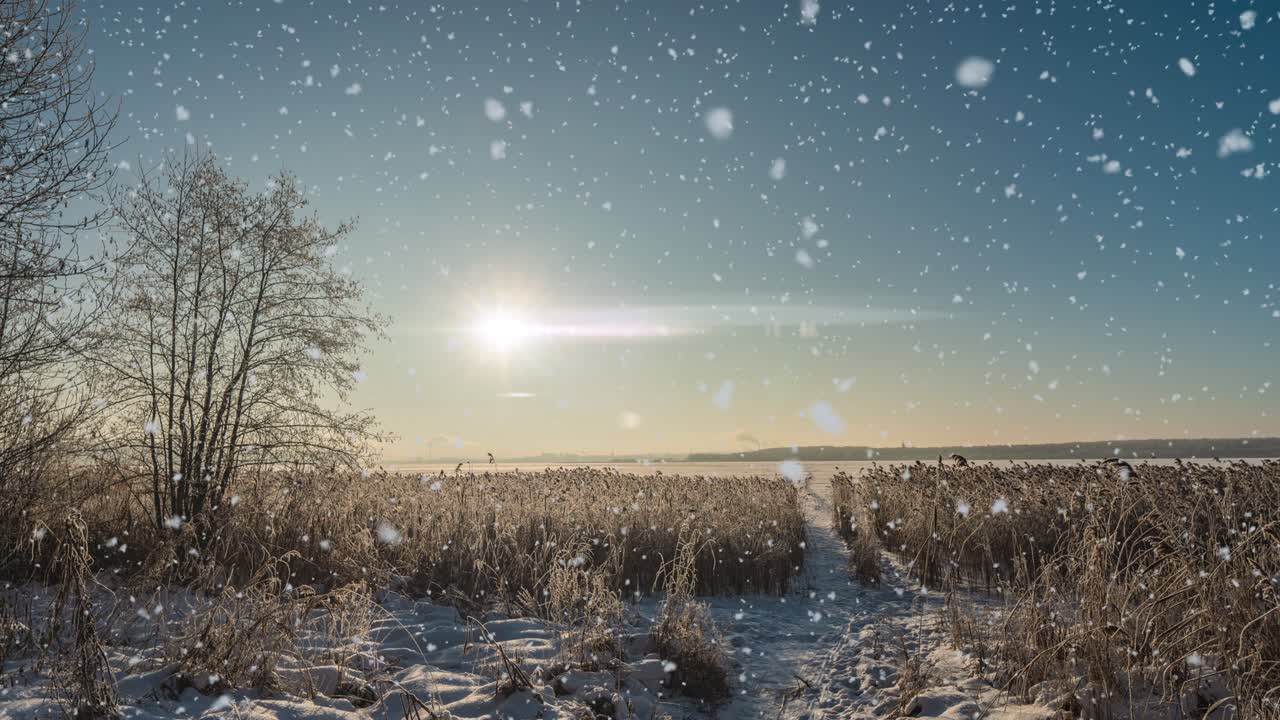 una animación de escena de invierno con coches conduciendo lentamente por una carretera cubierta de nieve y hojas cayendo suavemente de los árboles. bucle de video
