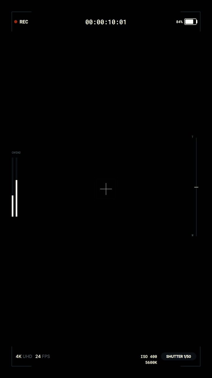 Digital Camera Recording Interface Overlay with Audio Levels