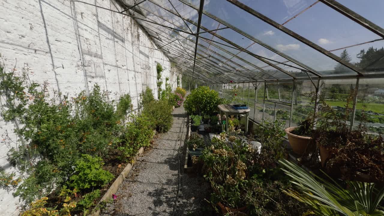 Ireland old gardens inside greenhouse and old walled garden Russborough House Co Wicklow epic locations