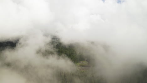 thick fog spreads out in every direction above road winding in gifford pinchot national forest, pnw