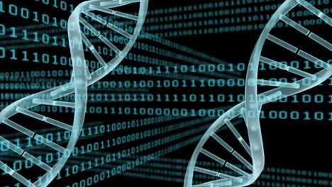 spinning dna against binary codes and black background