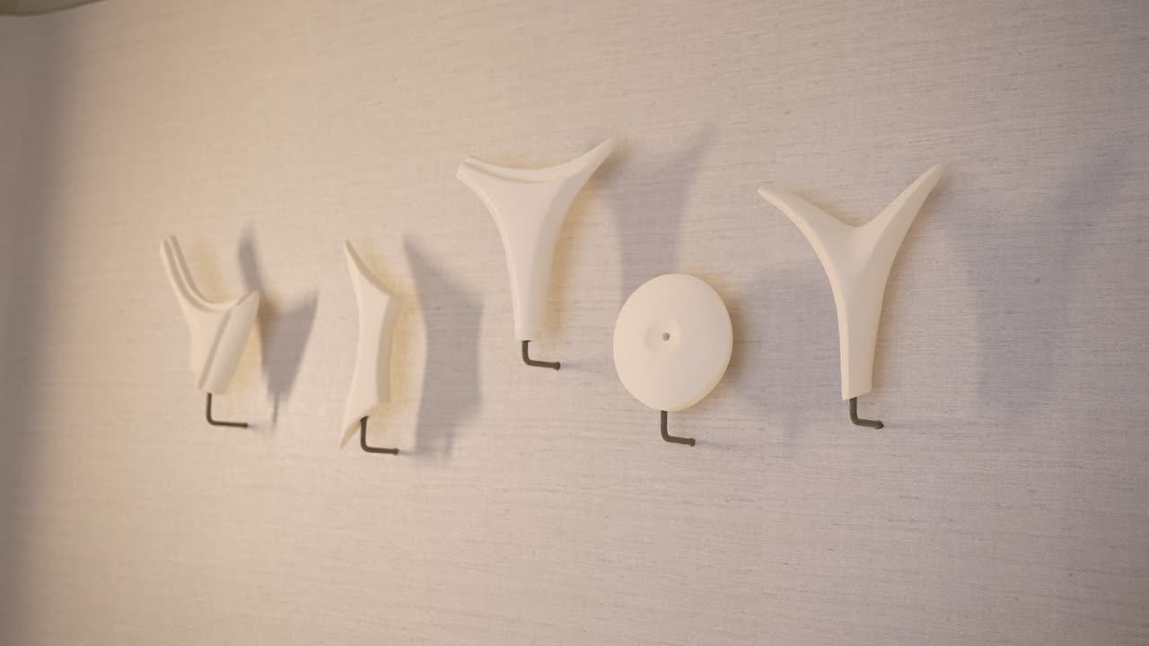 Diversi ganci da parete sono disposti su una parete di colore chiaro. Ogni gancio ha una forma e un design diversi. L'esposizione evidenzia come elementi funzionali possano aggiungere stile a uno spazio.