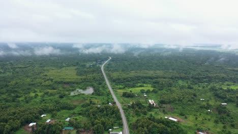 natural green vegetation after downpour