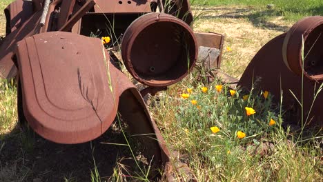 An-Old-Car-Sits-Abandoned-And-Rusting-On-A-Ranch-In-Santa-Ynez-Mountains-Of-California-3