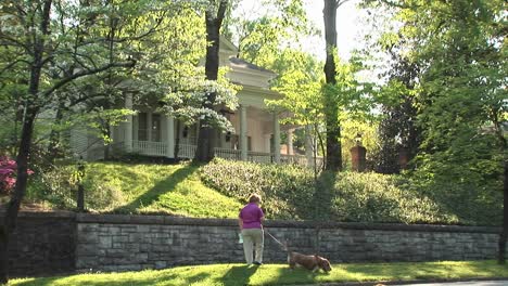 a pastelcolored house on a small hill peeks through the trees providing a lovely backdrop for a woman out walking her dog