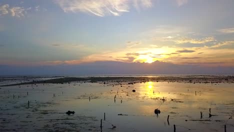 muy cerca sobre el suelo hermosa vista aérea vuelo panorámico lentamente de derecha a izquierda imágenes de drones en gili t beach indonesia en el atardecer dorado verano 2017