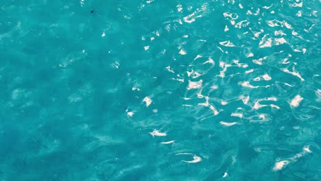 rippled water surface. crystal clear water swimming pool. blue water background
