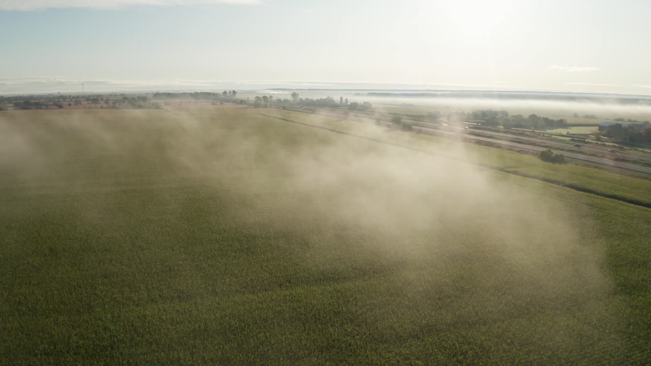 일출 직후 녹색 농장 위에 얇은 아침 안개층