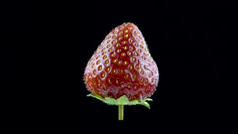 delicious strawberry rotates on a black background