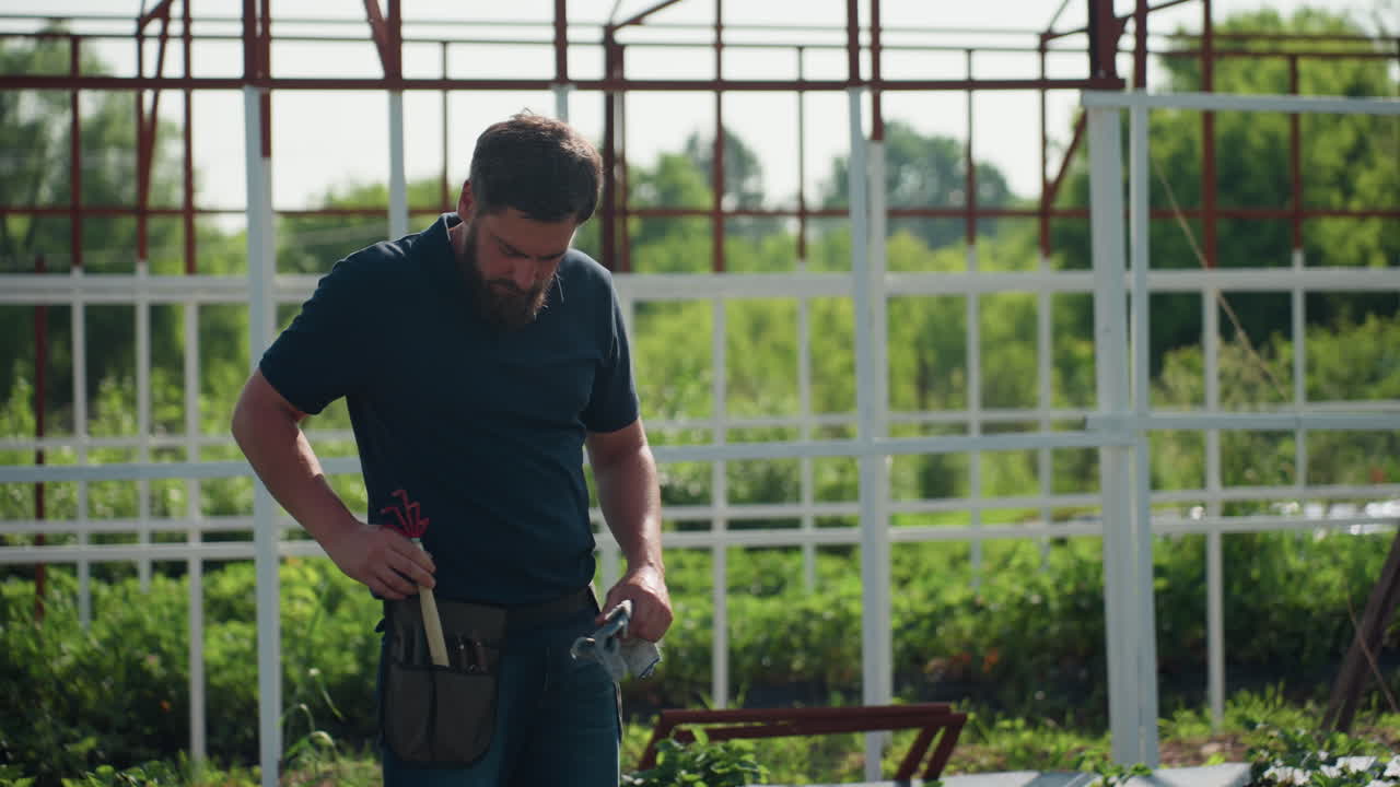 bearded man outdoors in greenhouse structure placing small hand fork into pocket while preparing to put on glove, focusing on hands and tools before gardening work