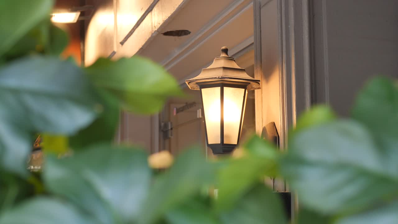 Outdoor Lamp with Leaves