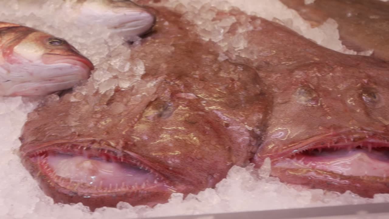 Fresh fish display at a seafood restaurant, showing fish on ice in a store window