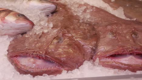 fresh fish display at a seafood restaurant, showing fish on ice in a store window