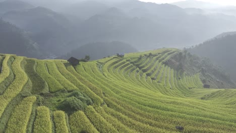 aerial view of mu cang chai rice filed in vietnam