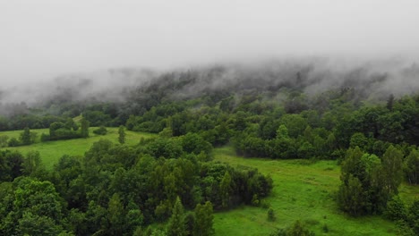 Lush-green-forest-and-meadow-in-fog-aerial-view,-Bieszczady-Mountains,-Poland
