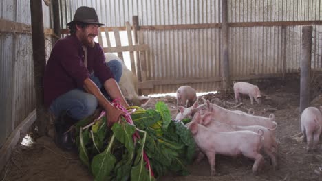 Hombre-Caucásico-Feliz-Trabajando-En-La-Granja,-Alimentando-Cerdos