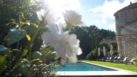 slow dolly shot of a private swimming pool with green trees in the south of france