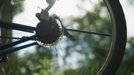 close-up of bicycle's rear wheel and gear system as the wheel briefly rotates, the chain and cogwheel are in focus, while the greenery in the background is blurred