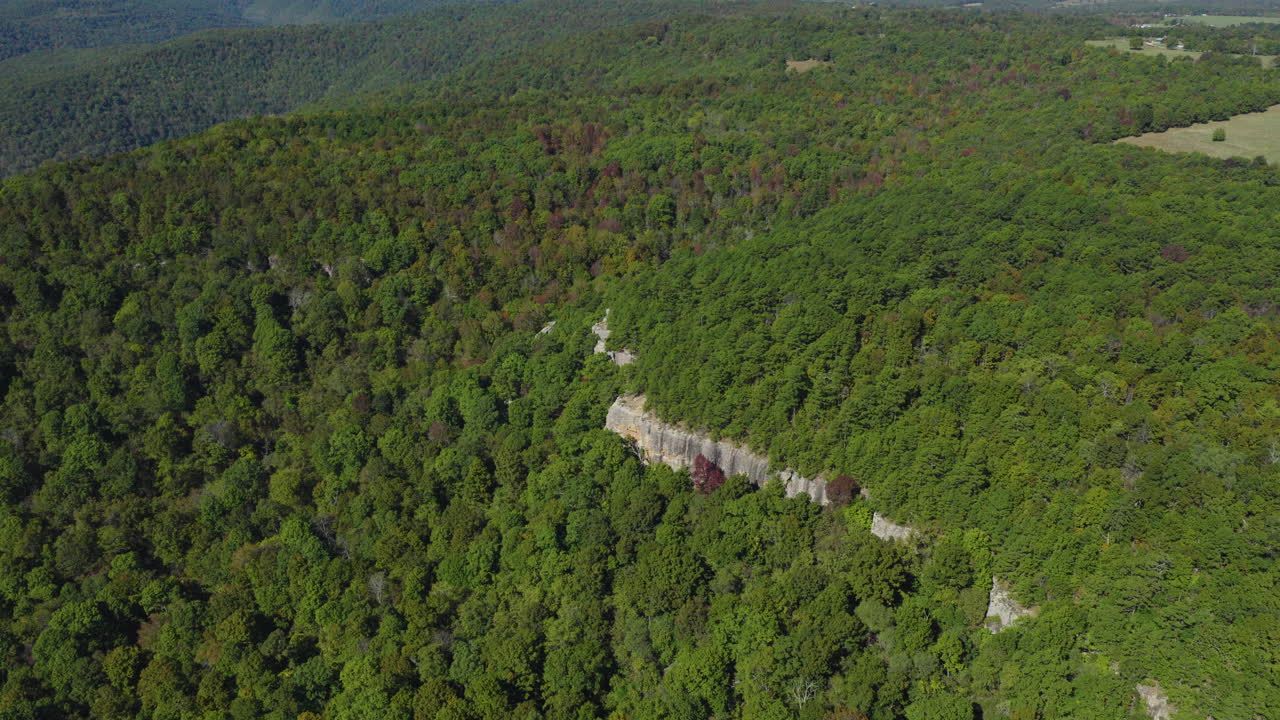 Anten Çamı Arkansas'ın panoramik görüntüsü, Ozark tepelerinden geçen kıvrımlı sırt yolu, kumtaşı kayalıkları ile karışık sert ağaç ormanı örtüsü