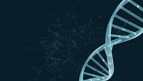 animation of spinning dna and data connections